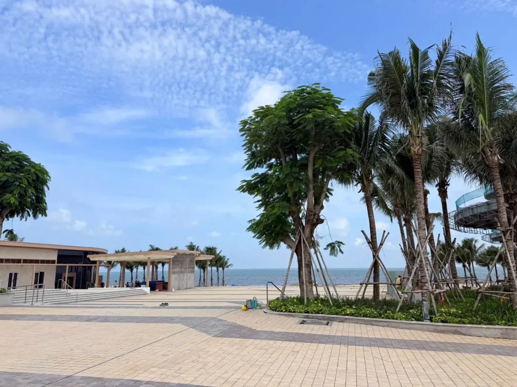 Ảnh thực tế Q Topia Phước Hải – Hàng cây và lối đi hướng ra biển tại khu vực Q Topia