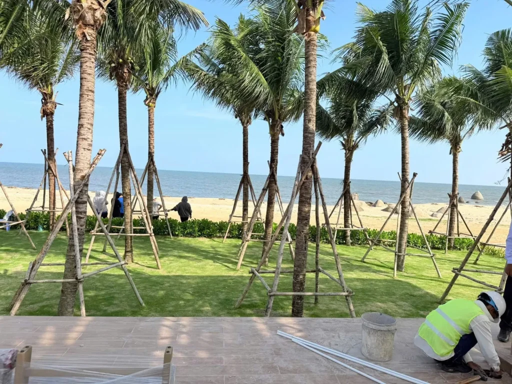 Ảnh thực tế Q Topia Phước Hải – Cây xanh và cảnh quan nhìn về phía biển
