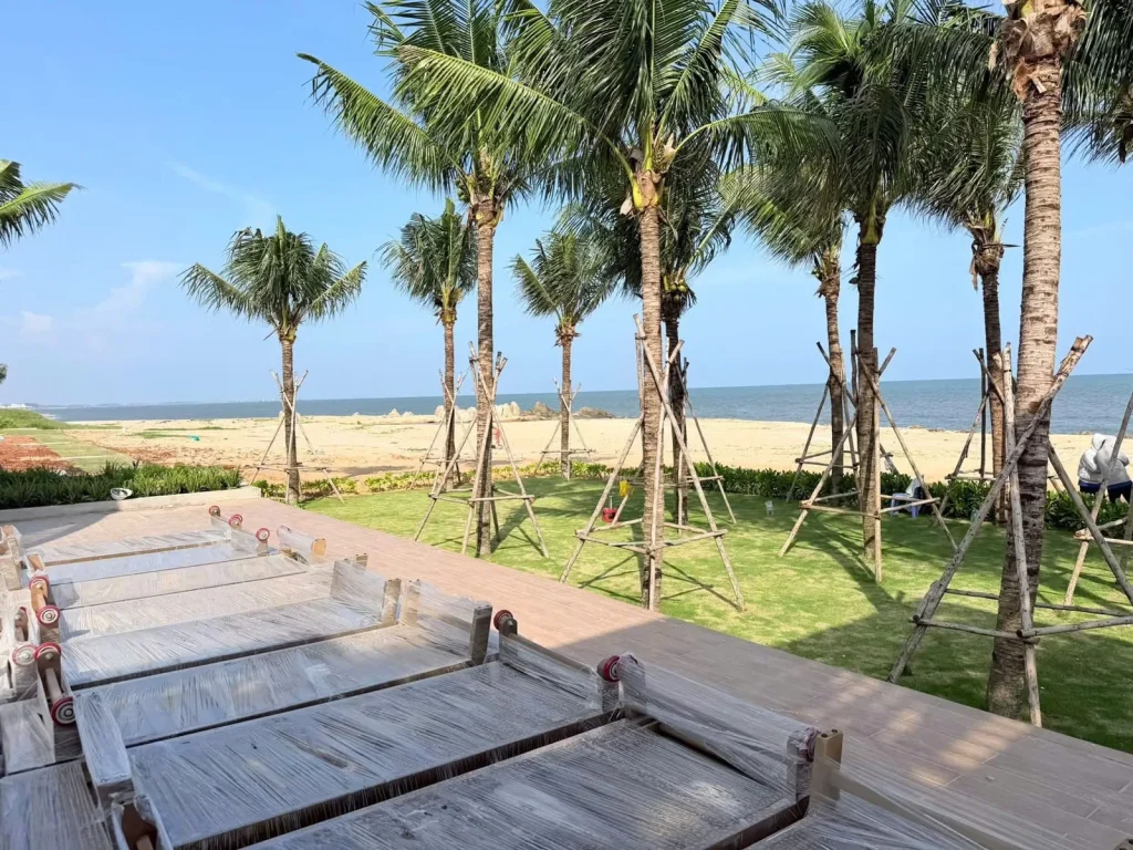 Ảnh thực tế Q Topia Phước Hải – Lối đi và cảnh quan ven biển đang hoàn thiện
